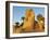 Sphinx Path, Temple of Luxor, Thebes, UNESCO World Heritage Site, Egypt, North Africa, Africa-Tuul-Framed Photographic Print