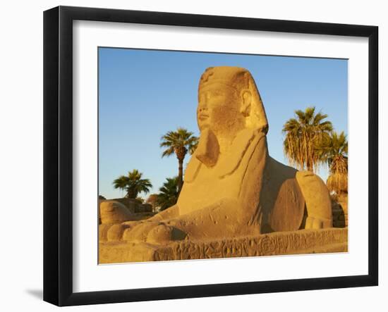 Sphinx Path, Temple of Luxor, Thebes, UNESCO World Heritage Site, Egypt, North Africa, Africa-Tuul-Framed Photographic Print