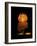 Sphinx Sound and Light Show, Egypt-Claudia Adams-Framed Photographic Print