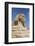 Sphinx, the Giza Pyramids, Giza, Egypt, North Africa, Africa-Richard Maschmeyer-Framed Photographic Print