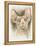 Sphinx-Barbara Keith-Framed Premier Image Canvas