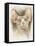 Sphinx-Barbara Keith-Framed Premier Image Canvas