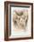 Sphinx-Barbara Keith-Framed Giclee Print