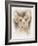 Sphinx-Barbara Keith-Framed Giclee Print