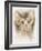 Sphinx-Barbara Keith-Framed Giclee Print