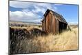 Photographic Print