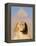 Sphynx and the Pyramid of Khafre, Giza, Near Cairo, Egypt-Schlenker Jochen-Framed Premier Image Canvas