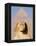 Sphynx and the Pyramid of Khafre, Giza, Near Cairo, Egypt-Schlenker Jochen-Framed Premier Image Canvas