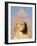 Sphynx and the Pyramid of Khafre, Giza, Near Cairo, Egypt-Schlenker Jochen-Framed Photographic Print