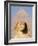 Sphynx and the Pyramid of Khafre, Giza, Near Cairo, Egypt-Schlenker Jochen-Framed Photographic Print