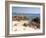 Spiaggia Rosa (Pink Beach) on Island of Budelli, La Maddalena Nat'l Park, Sardinia, Italy-Oliviero Olivieri-Framed Photographic Print