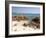 Spiaggia Rosa (Pink Beach) on Island of Budelli, La Maddalena Nat'l Park, Sardinia, Italy-Oliviero Olivieri-Framed Photographic Print