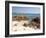 Spiaggia Rosa (Pink Beach) on Island of Budelli, La Maddalena Nat'l Park, Sardinia, Italy-Oliviero Olivieri-Framed Photographic Print