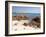 Spiaggia Rosa (Pink Beach) on Island of Budelli, La Maddalena Nat'l Park, Sardinia, Italy-Oliviero Olivieri-Framed Photographic Print