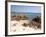 Spiaggia Rosa (Pink Beach) on Island of Budelli, La Maddalena Nat'l Park, Sardinia, Italy-Oliviero Olivieri-Framed Photographic Print