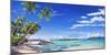Spiaggia tropicale-Adriano Galasso-Mounted Art Print