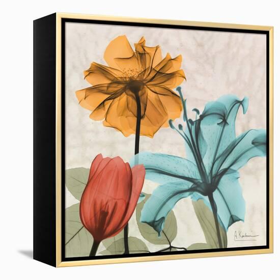 Spice Avalon X-Albert Koetsier-Framed Stretched Canvas