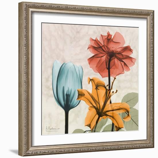 Spice Avalon XI-Albert Koetsier-Framed Art Print