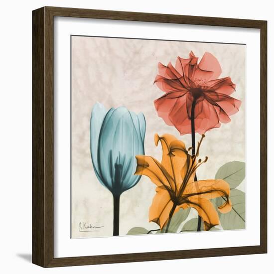 Spice Avalon XI-Albert Koetsier-Framed Art Print