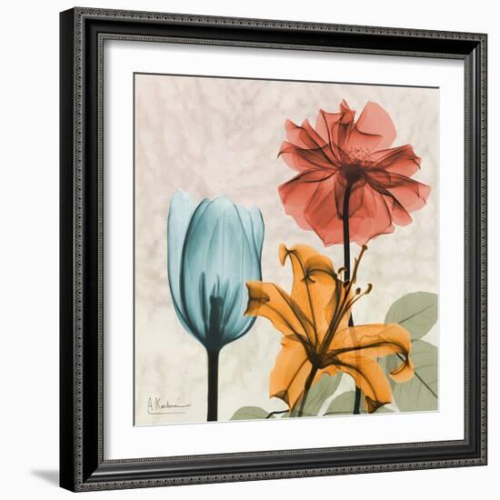 Spice Avalon XI-Albert Koetsier-Framed Art Print