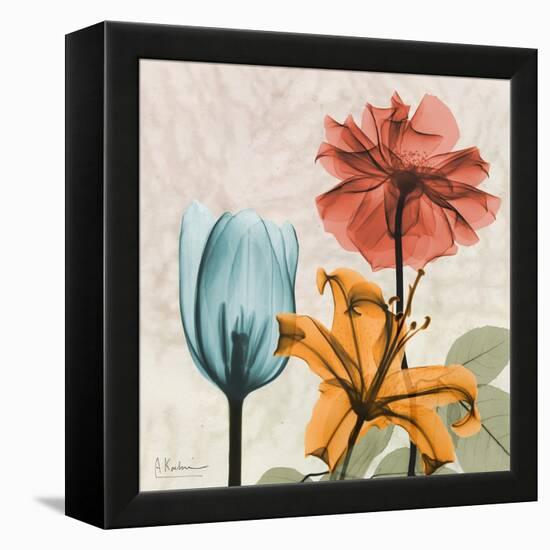 Spice Avalon XI-Albert Koetsier-Framed Stretched Canvas