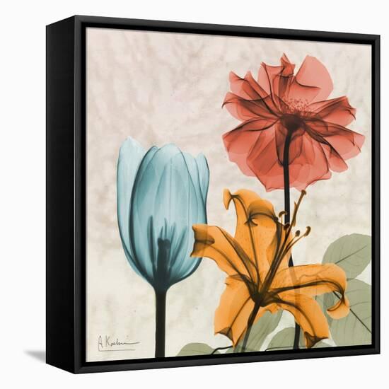 Spice Avalon XI-Albert Koetsier-Framed Stretched Canvas