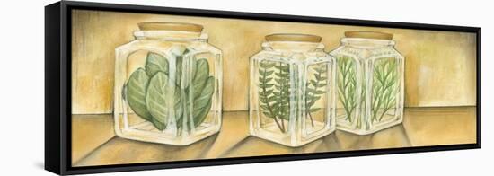 Spice Jars I-Laura Nathan-Framed Stretched Canvas