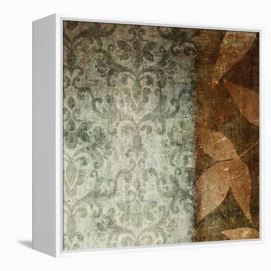 Spice Leaves 1A-Kristin Emery-Framed Stretched Canvas