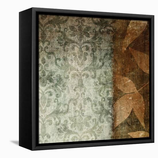 Spice Leaves 1A-Kristin Emery-Framed Stretched Canvas