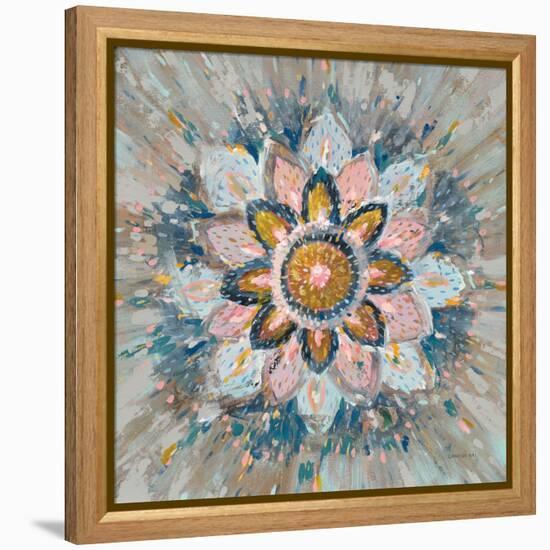 Spice Mandala-Danhui Nai-Framed Stretched Canvas