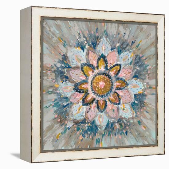 Spice Mandala-Danhui Nai-Framed Stretched Canvas