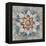 Spice Mandala-Danhui Nai-Framed Stretched Canvas