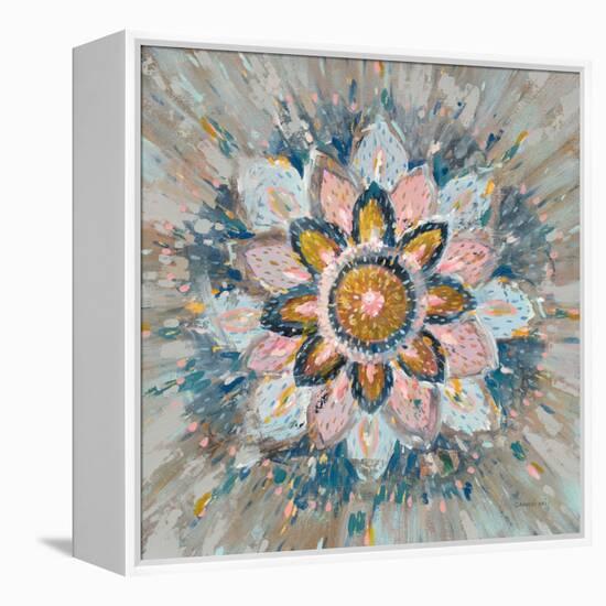 Spice Mandala-Danhui Nai-Framed Stretched Canvas