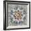 Spice Mandala-Danhui Nai-Framed Premium Giclee Print