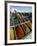 Spice Market, Douz, Sahara Desert, Tunisia-Walter Bibikow-Framed Photographic Print