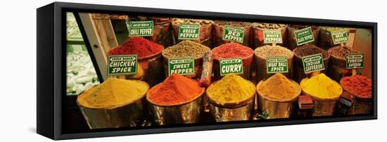 Spice Market Istanbul Turkey-null-Framed Premier Image Canvas