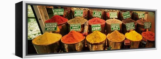 Spice Market Istanbul Turkey-null-Framed Premier Image Canvas