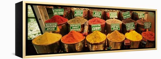 Spice Market Istanbul Turkey-null-Framed Premier Image Canvas