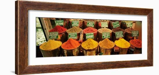 Spice Market Istanbul Turkey-null-Framed Photographic Print