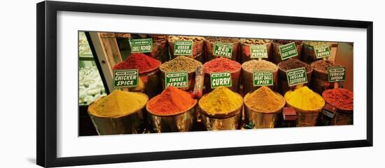 Spice Market Istanbul Turkey-null-Framed Photographic Print