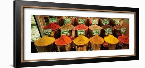 Spice Market Istanbul Turkey-null-Framed Photographic Print