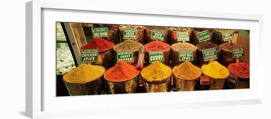 Spice Market Istanbul Turkey-null-Framed Photographic Print