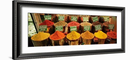 Spice Market Istanbul Turkey-null-Framed Photographic Print