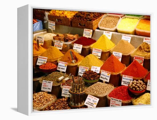 Spice Shop at the Spice Bazaar, Istanbul, Turkey, Europe-Levy Yadid-Framed Premier Image Canvas