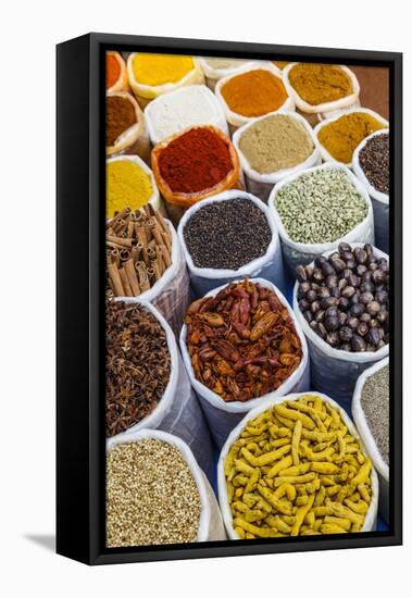 Spice Shop at the Wednesday Flea Market in Anjuna, Goa, India, Asia-Yadid Levy-Framed Premier Image Canvas