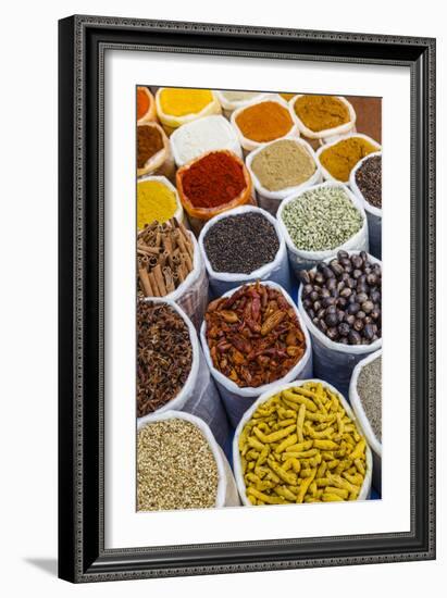 Spice Shop at the Wednesday Flea Market in Anjuna, Goa, India, Asia-Yadid Levy-Framed Photographic Print