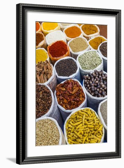 Spice Shop at the Wednesday Flea Market in Anjuna, Goa, India, Asia-Yadid Levy-Framed Photographic Print