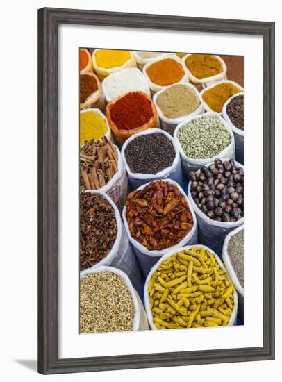 Spice Shop at the Wednesday Flea Market in Anjuna, Goa, India, Asia-Yadid Levy-Framed Photographic Print