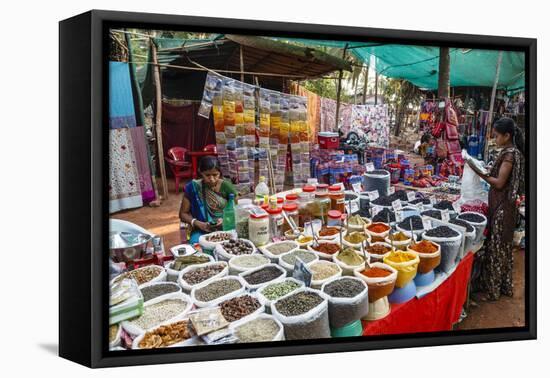 Spice Shop at the Wednesday Flea Market in Anjuna, Goa, India, Asia-Yadid Levy-Framed Premier Image Canvas