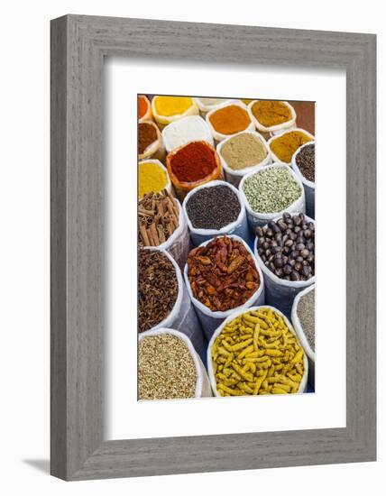 Spice Shop at the Wednesday Flea Market in Anjuna, Goa, India, Asia-Yadid Levy-Framed Photographic Print